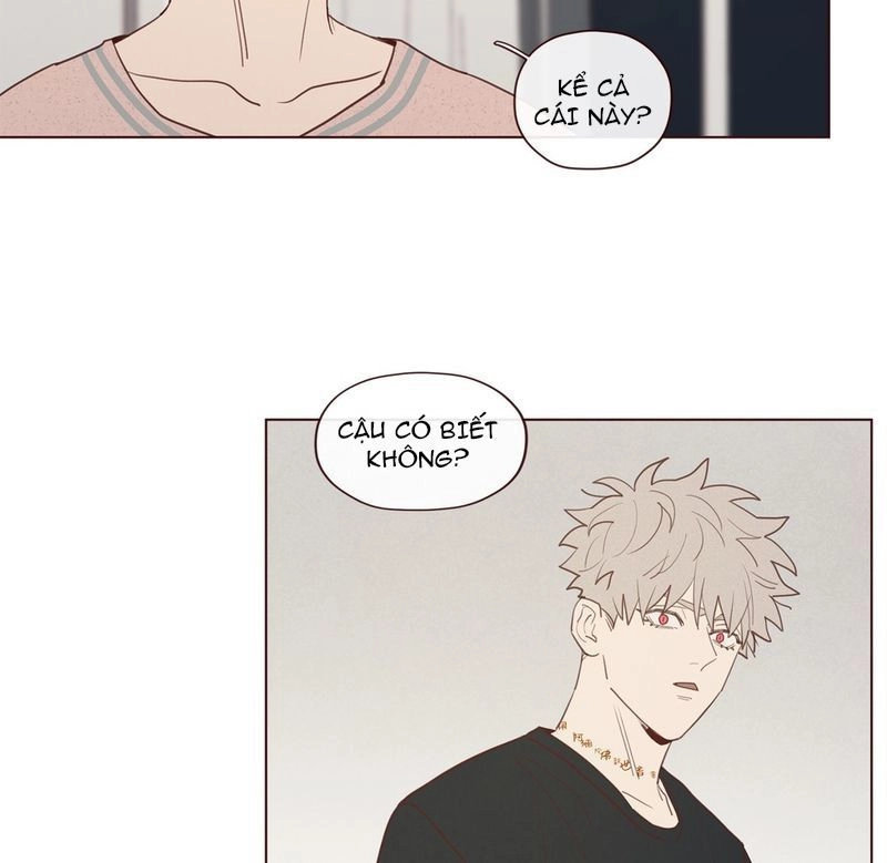 Vận Mệnh Không Mắc Sai Lầm Chapter 19 - 12