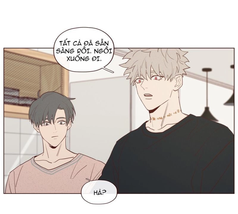 Vận Mệnh Không Mắc Sai Lầm Chapter 19 - 22