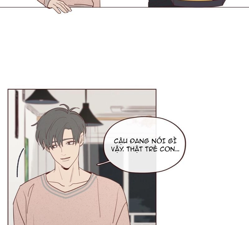 Vận Mệnh Không Mắc Sai Lầm Chapter 19 - 24
