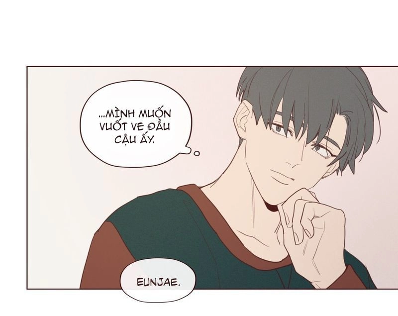 Vận Mệnh Không Mắc Sai Lầm Chapter 20 - 31