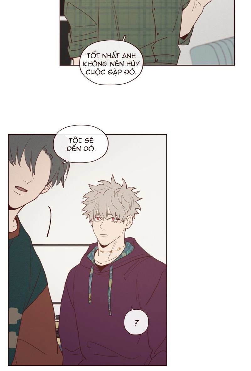 Vận Mệnh Không Mắc Sai Lầm Chapter 20 - 33