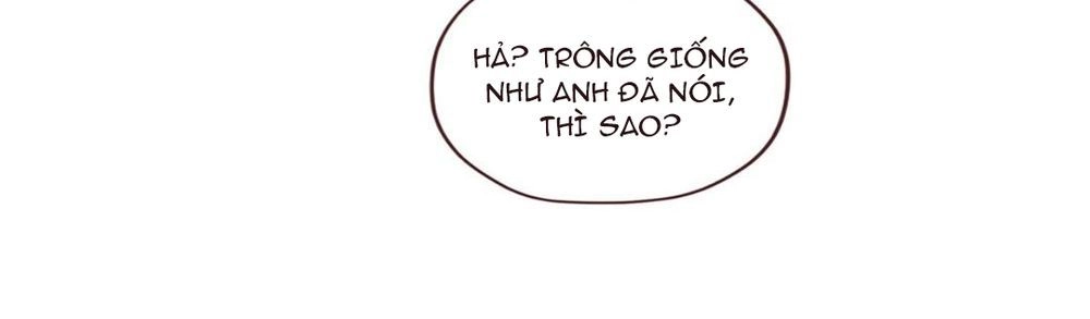 Vận Mệnh Không Mắc Sai Lầm Chapter 21 - 35