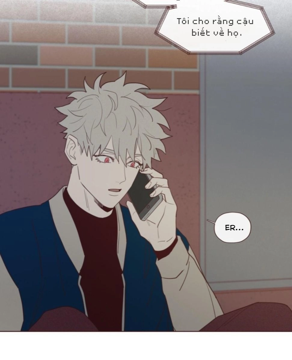 Vận Mệnh Không Mắc Sai Lầm Chapter 22 - 6