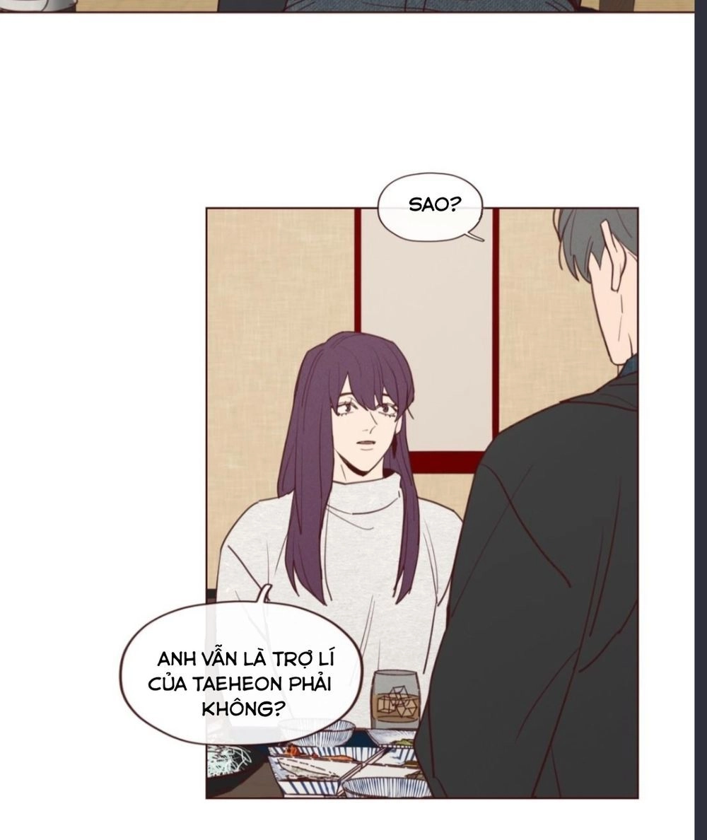 Vận Mệnh Không Mắc Sai Lầm Chapter 22 - 12