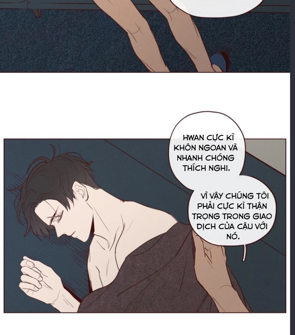 Vận Mệnh Không Mắc Sai Lầm Chapter 22 - 28