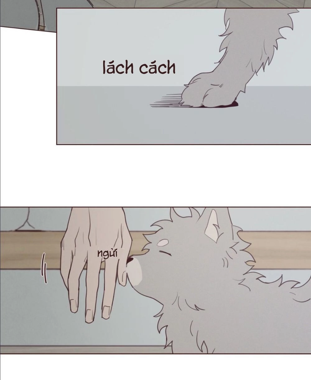 Vận Mệnh Không Mắc Sai Lầm Chapter 23 - 12