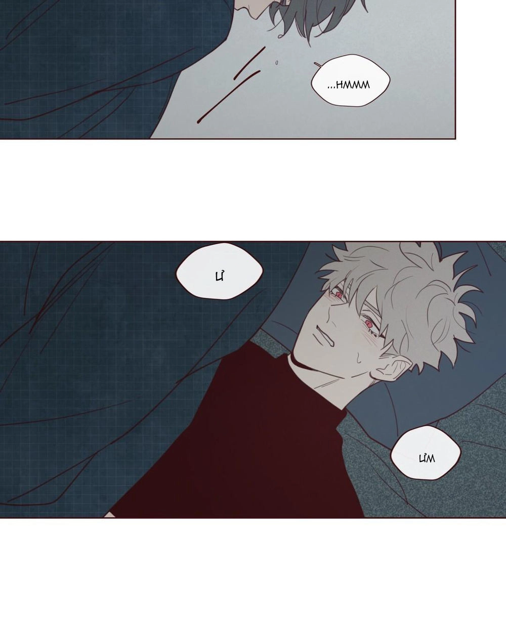 Vận Mệnh Không Mắc Sai Lầm Chapter 24 - 6