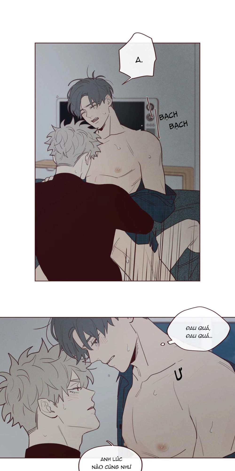 Vận Mệnh Không Mắc Sai Lầm Chapter 24 - 29