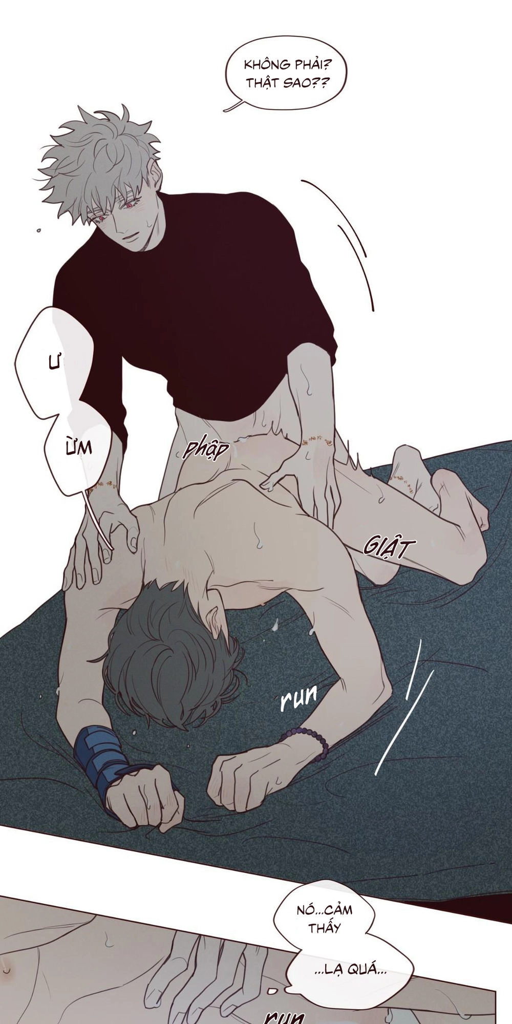 Vận Mệnh Không Mắc Sai Lầm Chapter 25 - 5