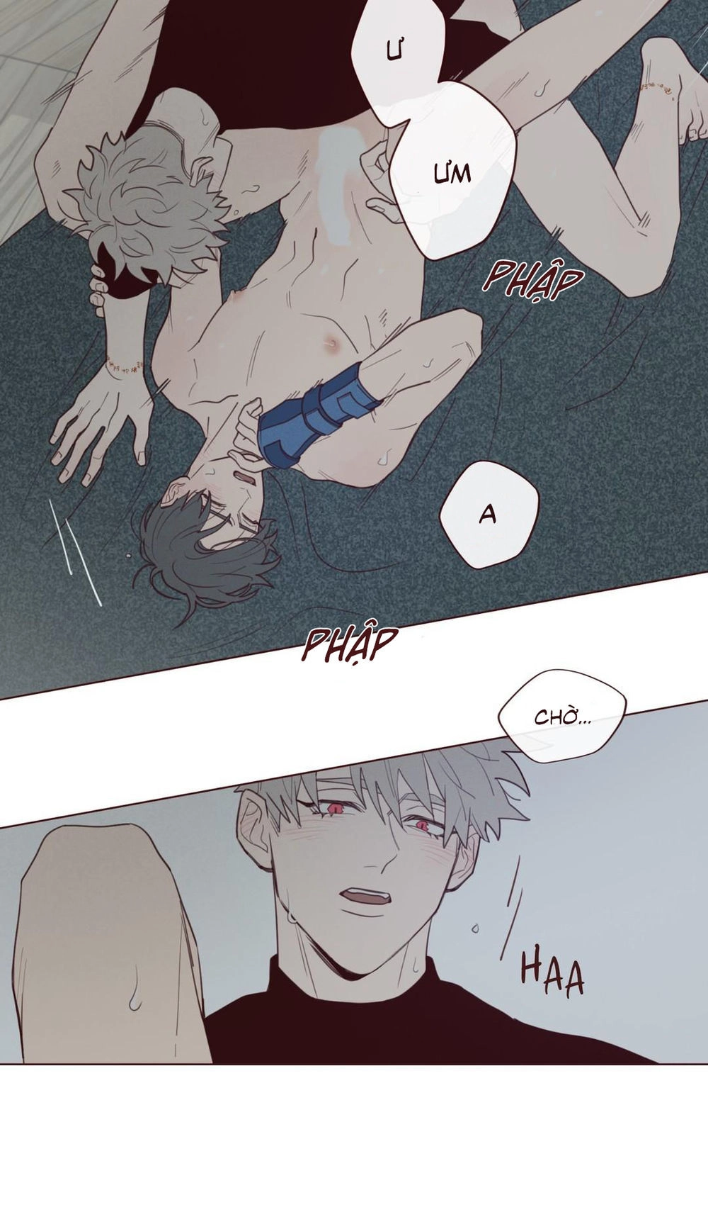 Vận Mệnh Không Mắc Sai Lầm Chapter 25 - 15