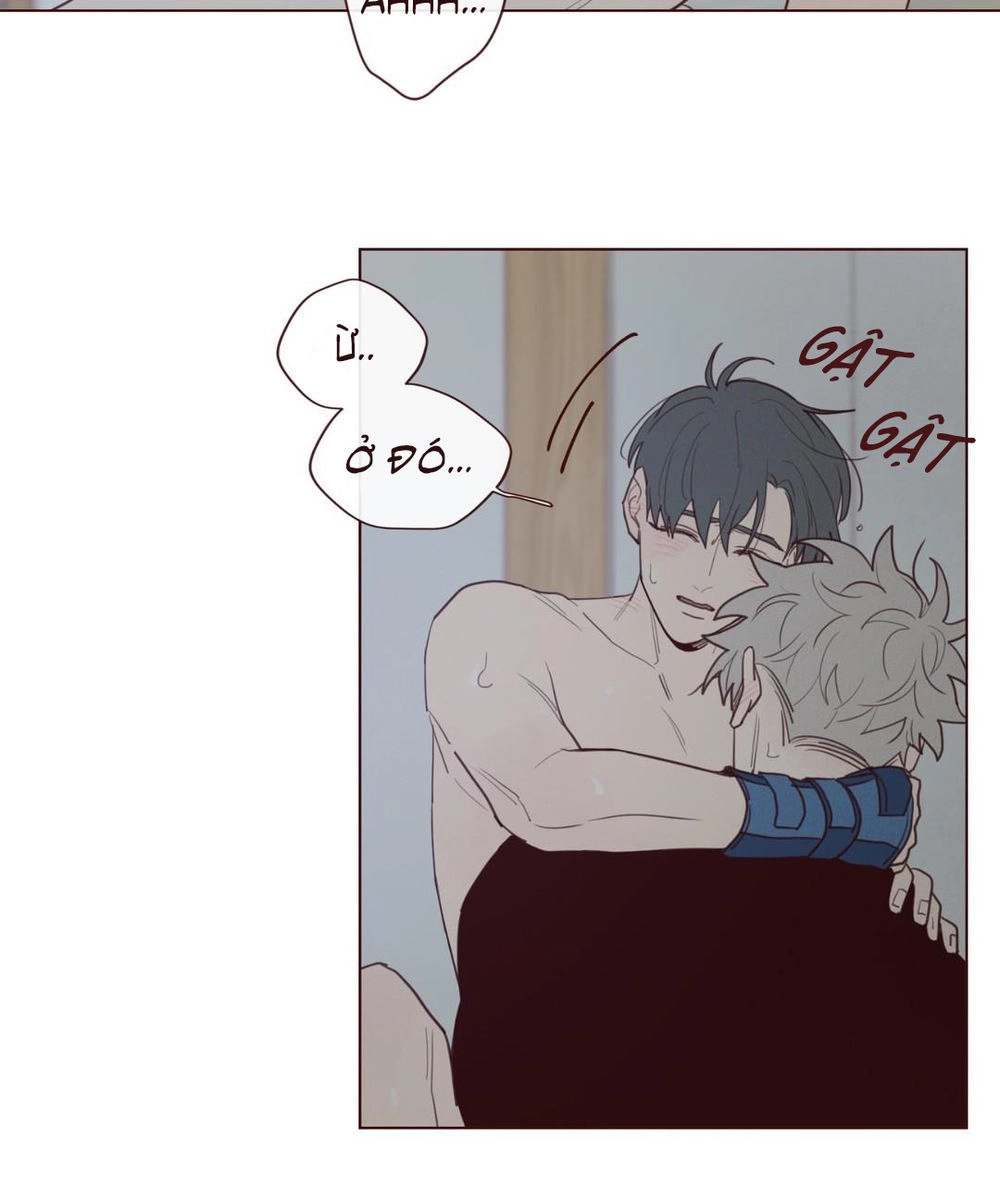 Vận Mệnh Không Mắc Sai Lầm Chapter 25 - 19