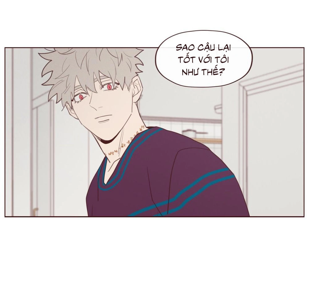 Vận Mệnh Không Mắc Sai Lầm Chapter 25 - 34