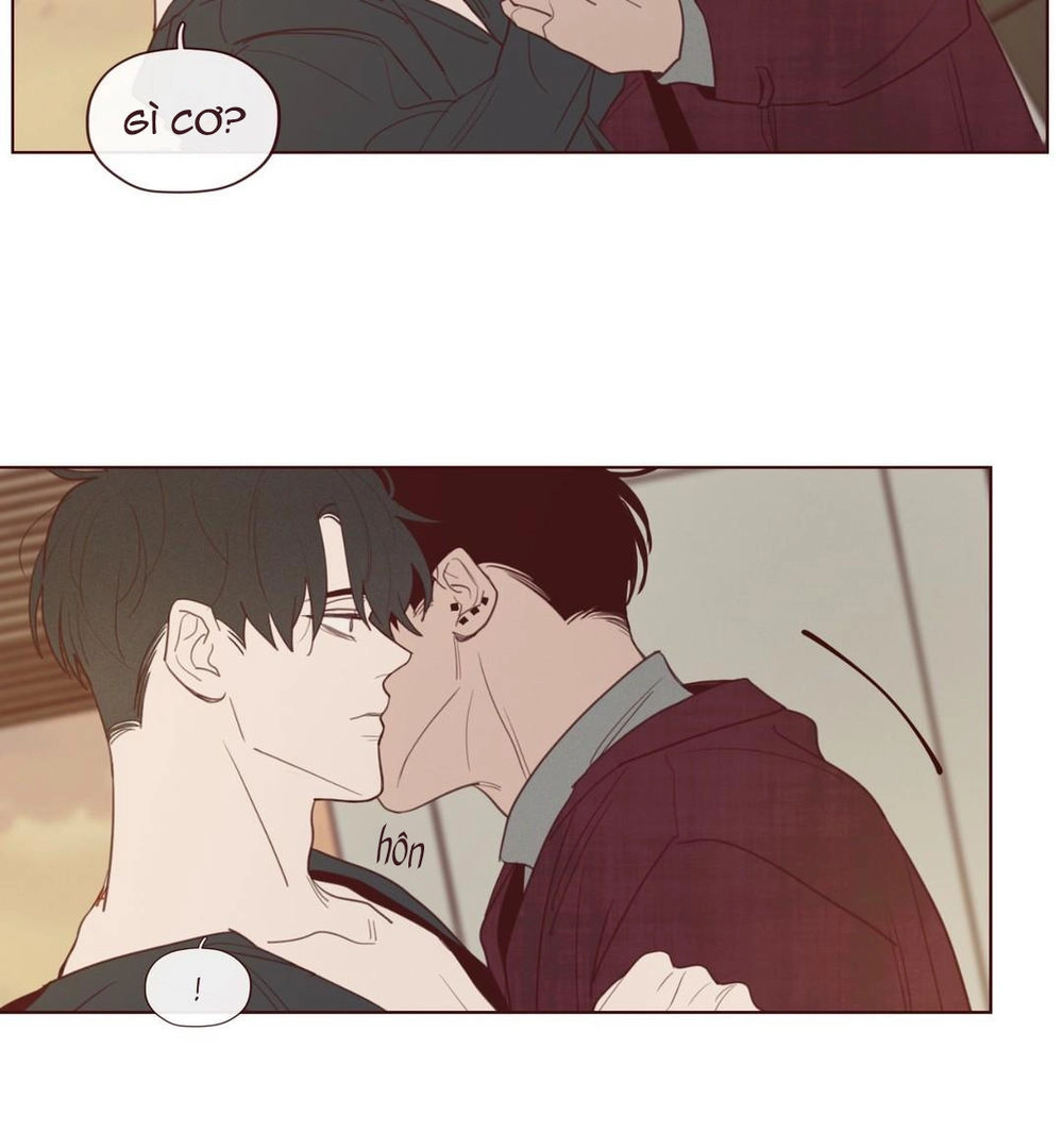 Vận Mệnh Không Mắc Sai Lầm Chapter 28 - 31