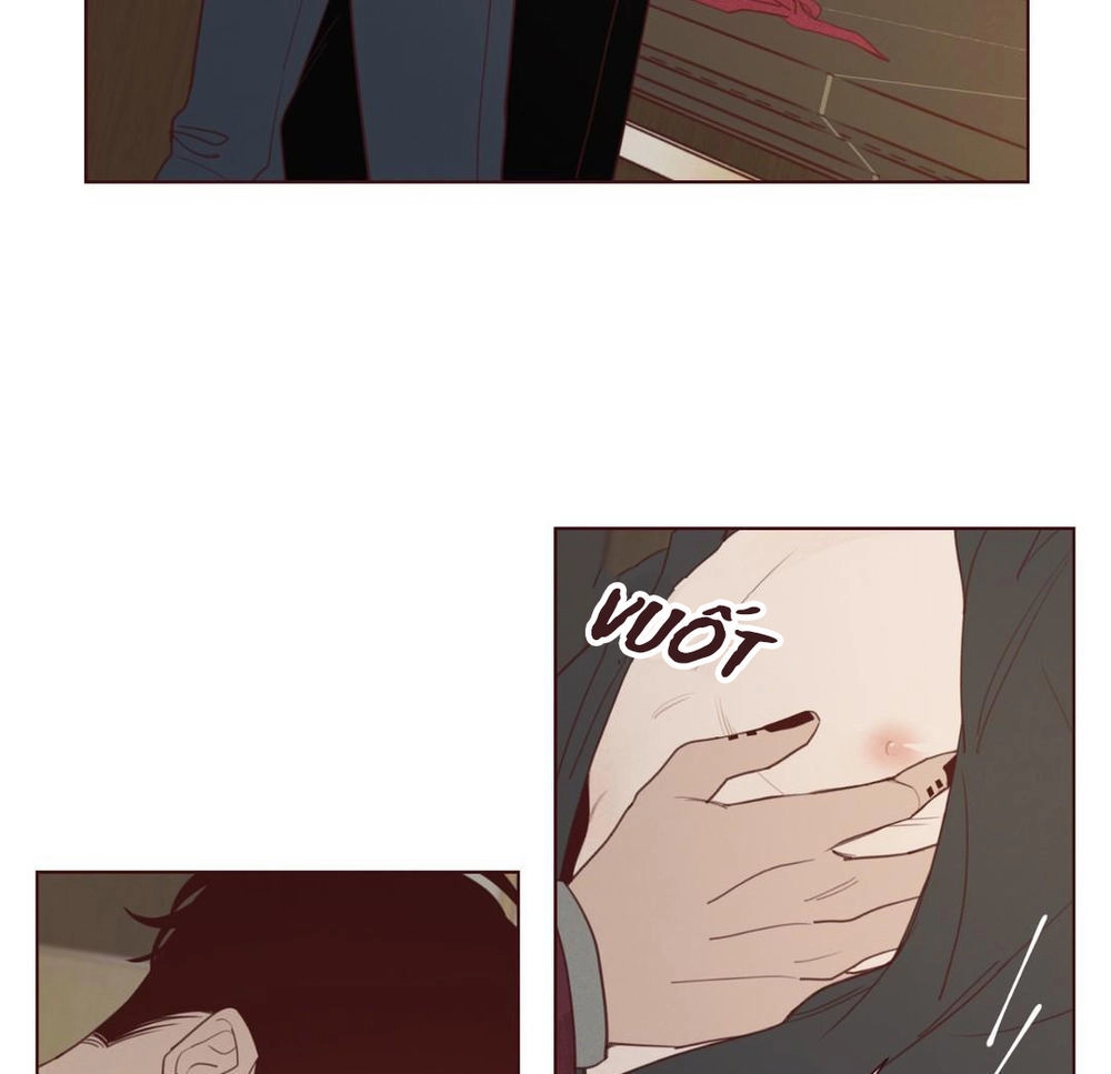 Vận Mệnh Không Mắc Sai Lầm Chapter 28 - 33