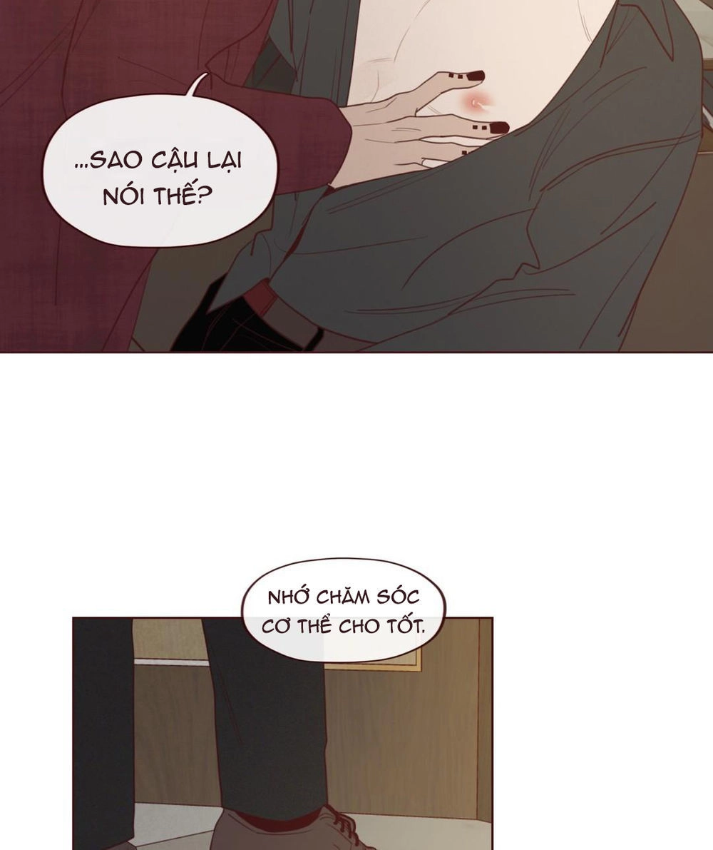 Vận Mệnh Không Mắc Sai Lầm Chapter 28 - 35