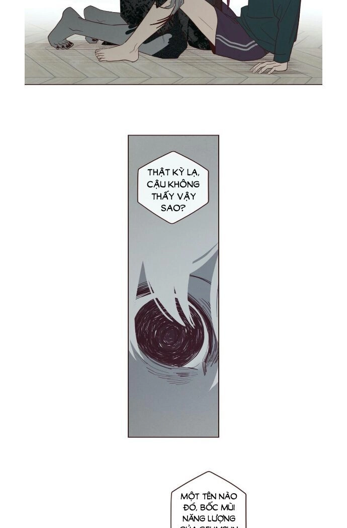 Vận Mệnh Không Mắc Sai Lầm Chapter 32 - 9