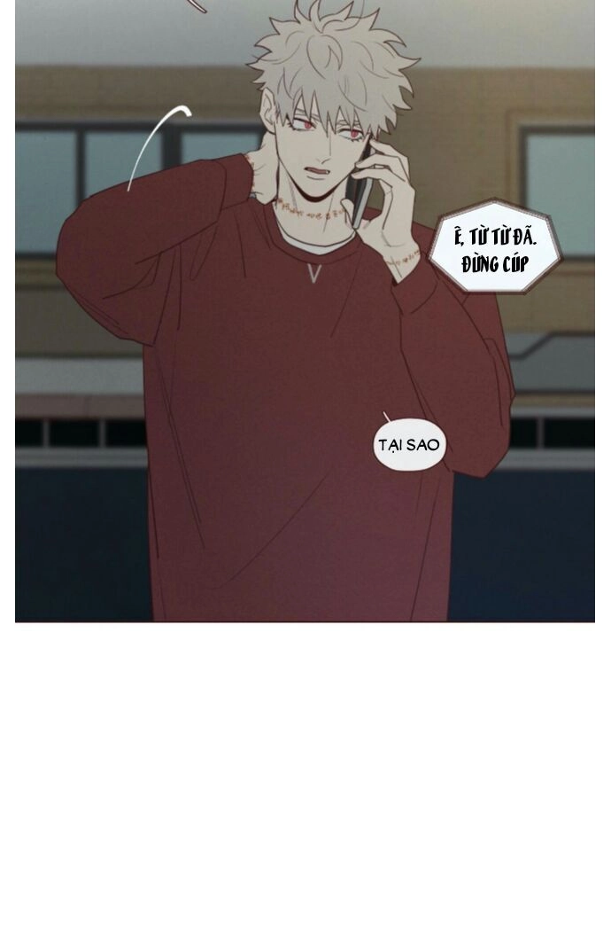 Vận Mệnh Không Mắc Sai Lầm Chapter 32 - 19