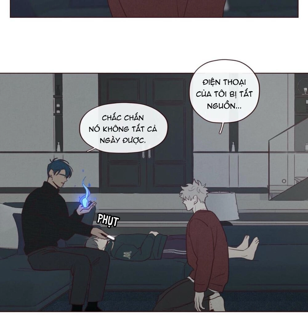 Vận Mệnh Không Mắc Sai Lầm Chapter 37 - 3