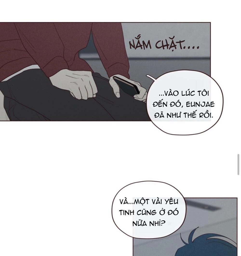 Vận Mệnh Không Mắc Sai Lầm Chapter 37 - 13