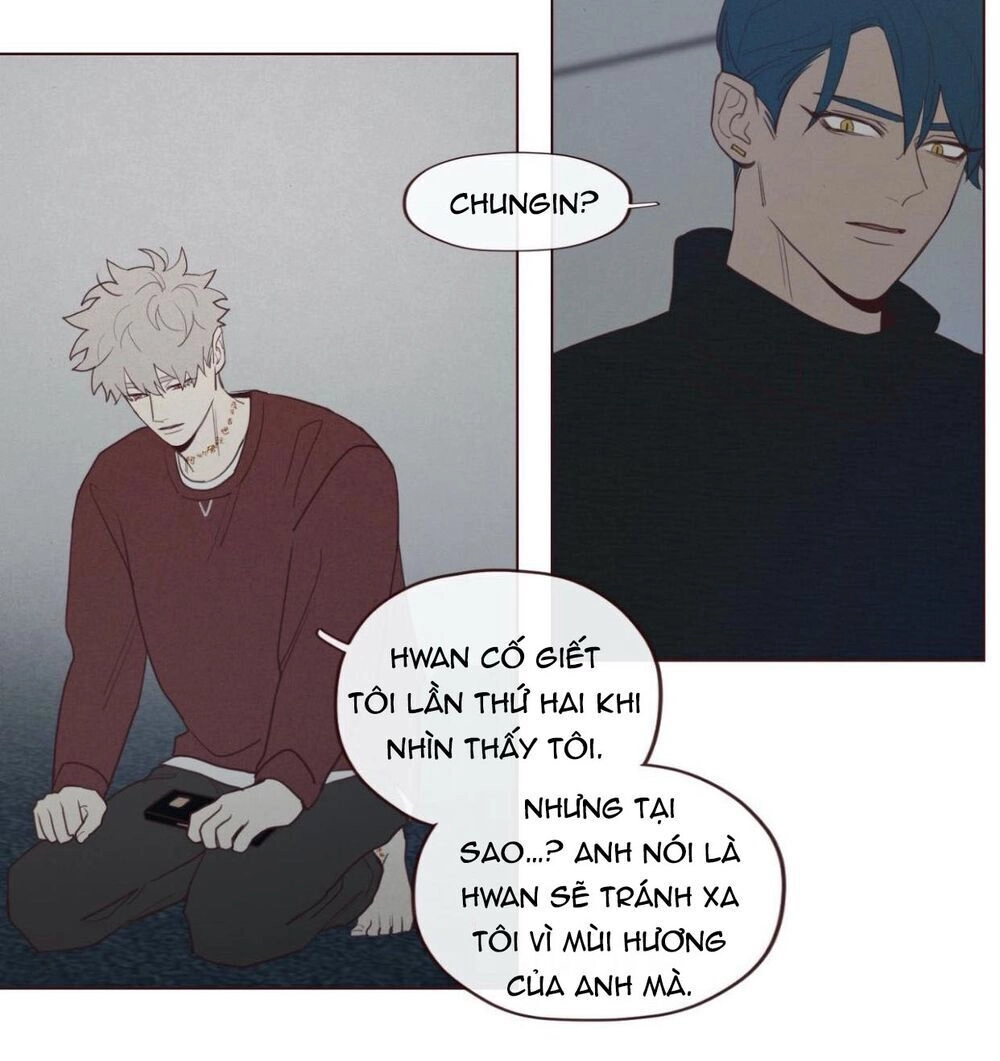 Vận Mệnh Không Mắc Sai Lầm Chapter 37 - 14