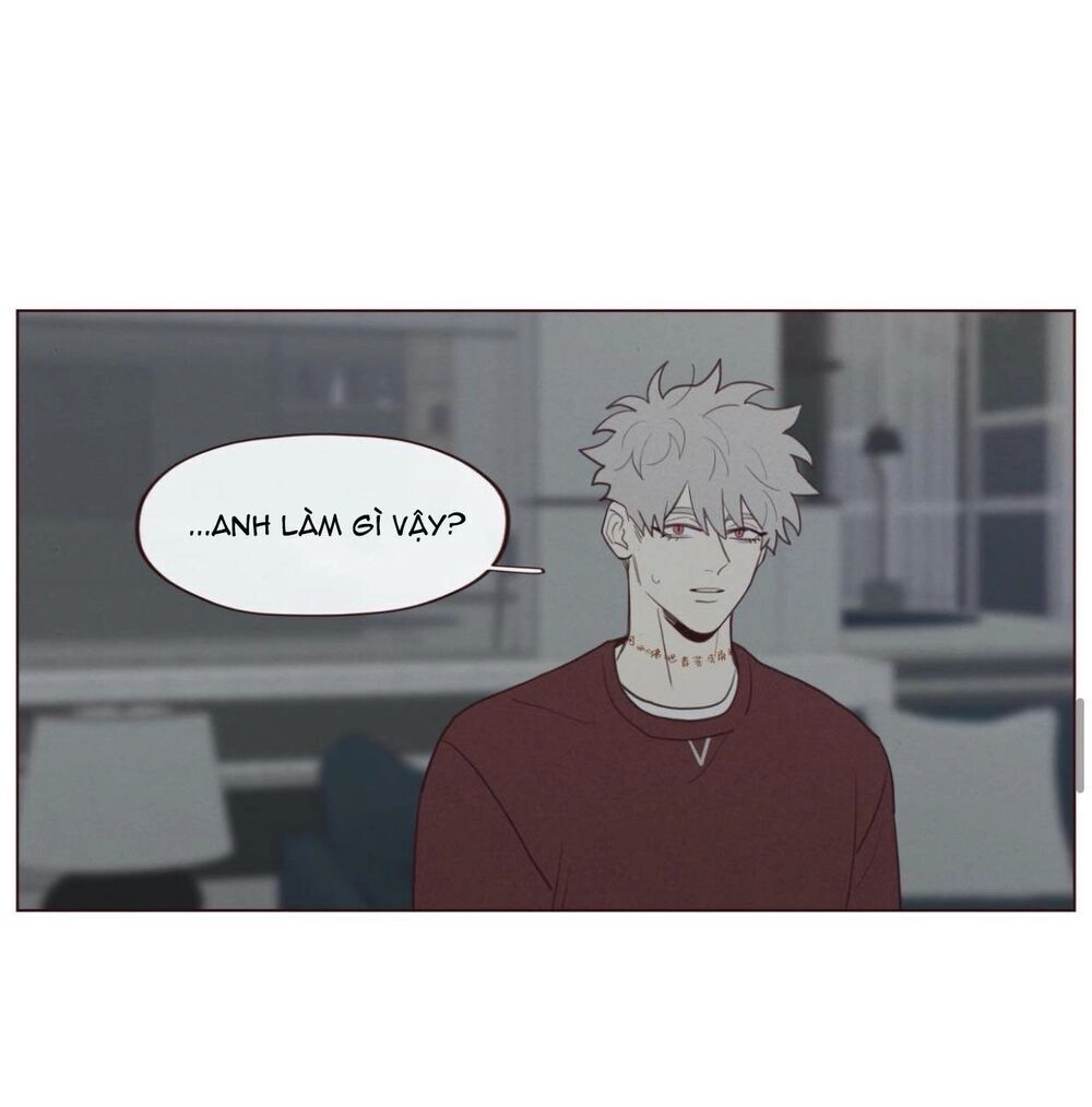 Vận Mệnh Không Mắc Sai Lầm Chapter 37 - 36