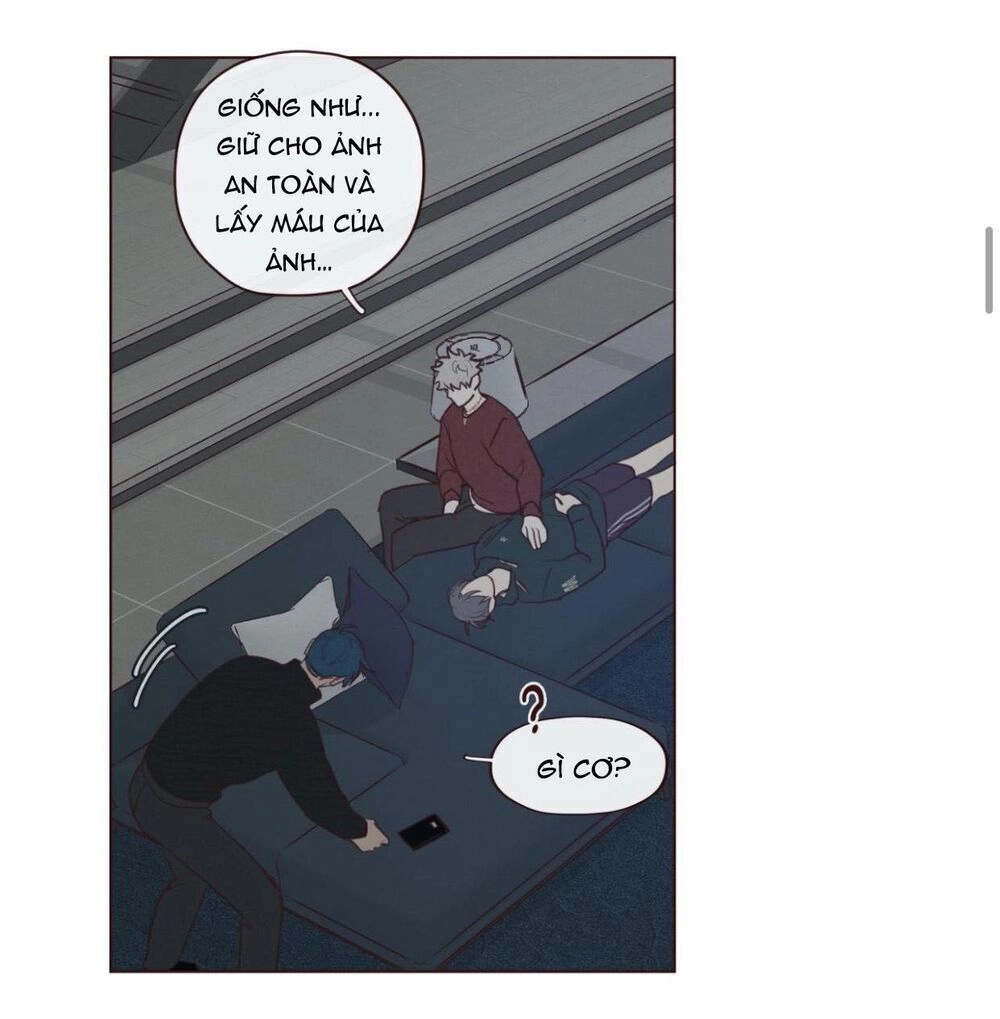 Vận Mệnh Không Mắc Sai Lầm Chapter 37 - 40