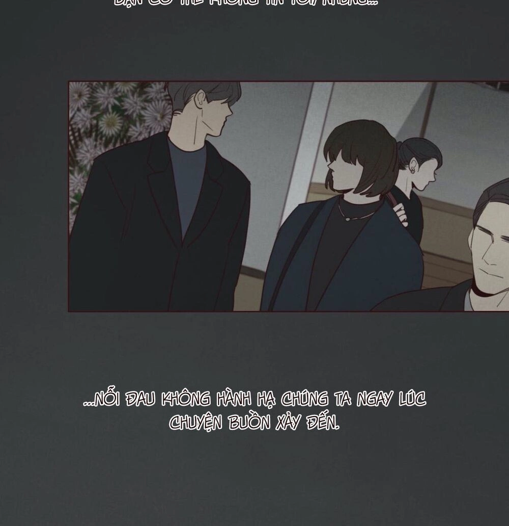 Vận Mệnh Không Mắc Sai Lầm Chapter 38 - 4