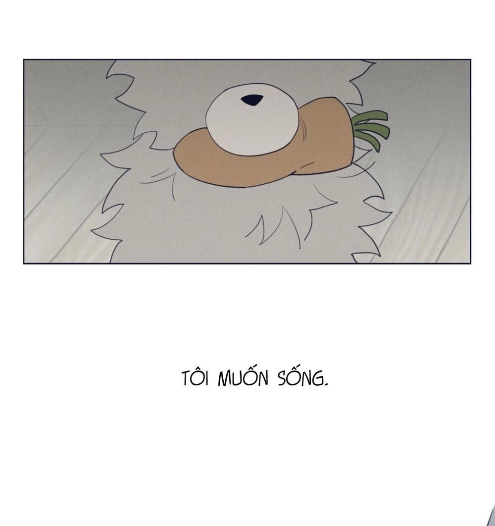 Vận Mệnh Không Mắc Sai Lầm Chapter 38 - 15