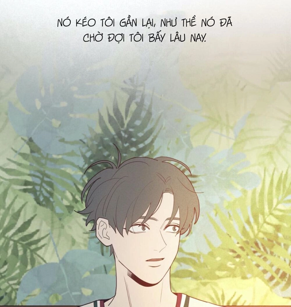 Vận Mệnh Không Mắc Sai Lầm Chapter 38 - 19