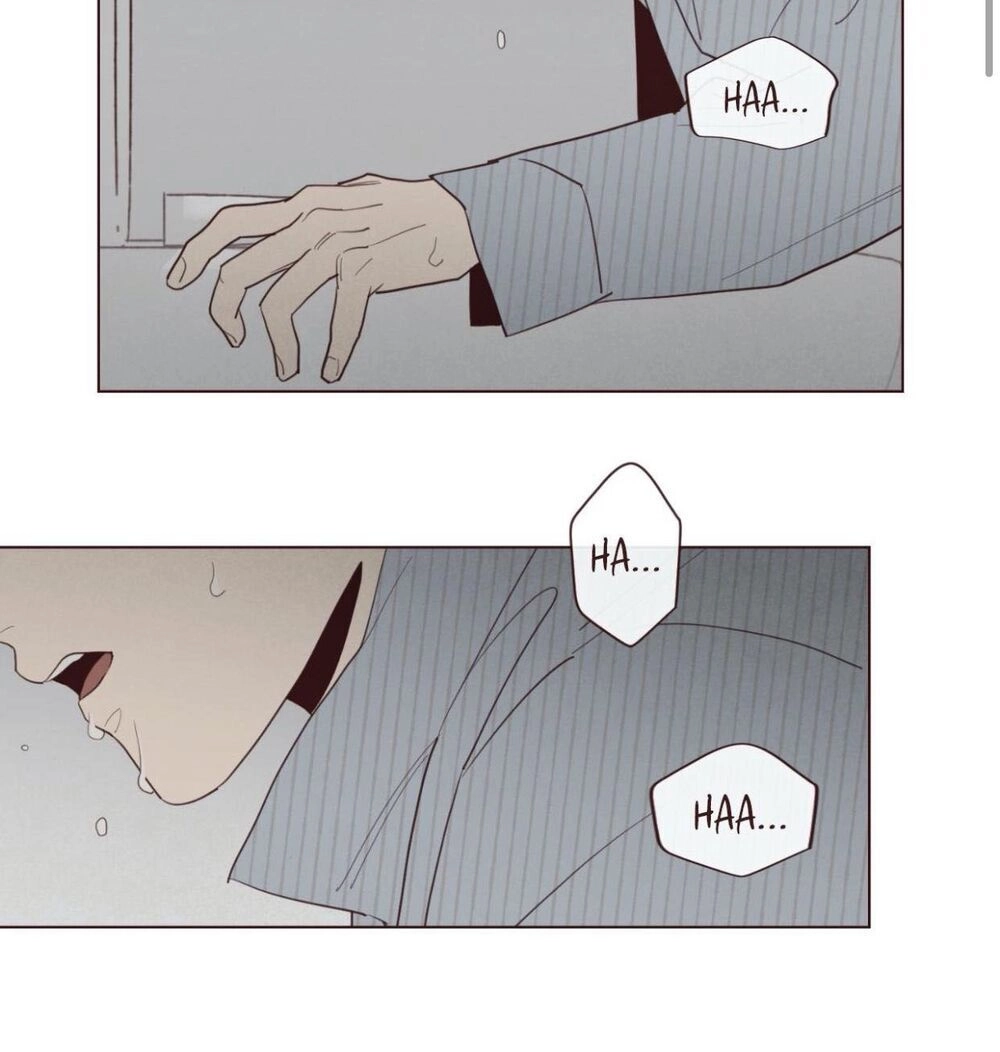 Vận Mệnh Không Mắc Sai Lầm Chapter 38 - 31