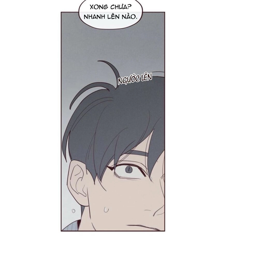 Vận Mệnh Không Mắc Sai Lầm Chapter 38 - 34