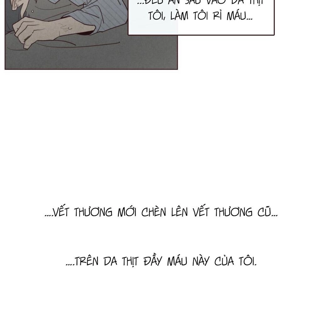 Vận Mệnh Không Mắc Sai Lầm Chapter 38 - 43