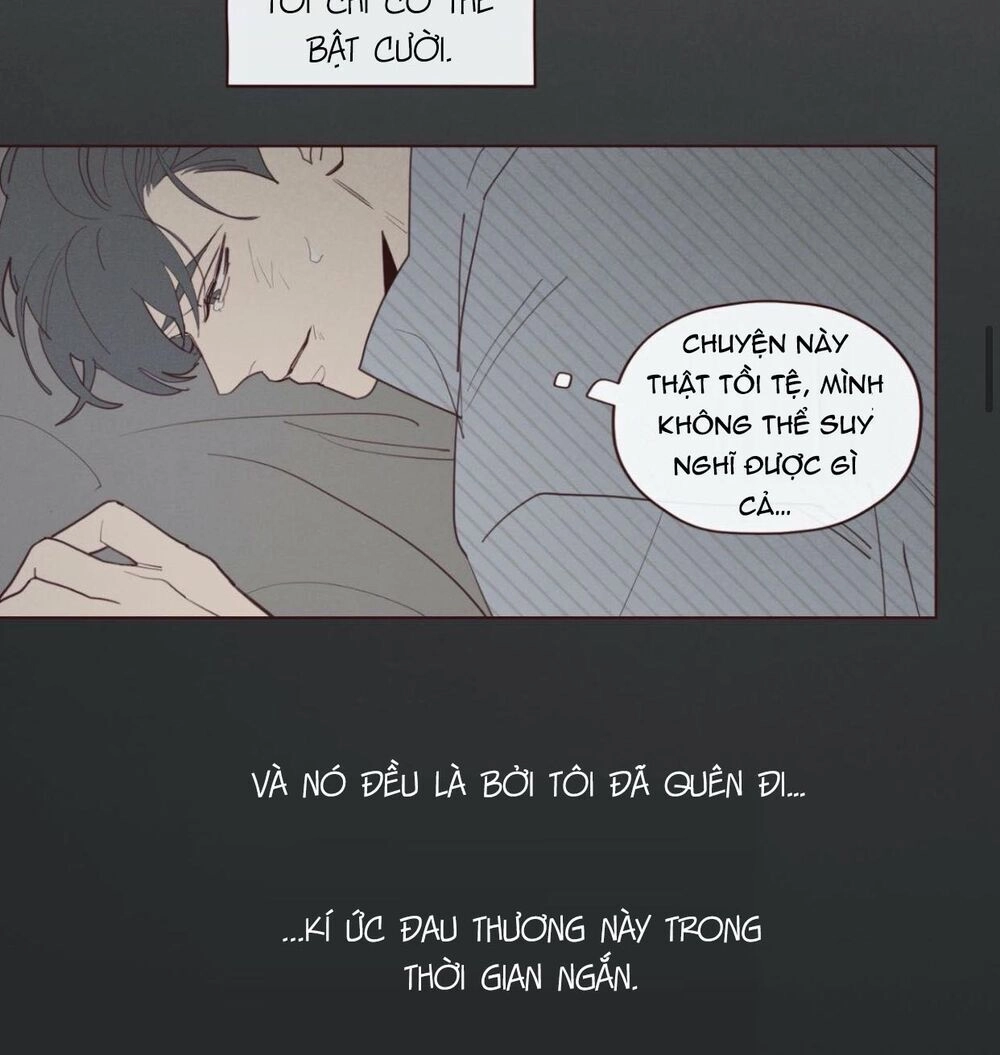 Vận Mệnh Không Mắc Sai Lầm Chapter 38 - 45