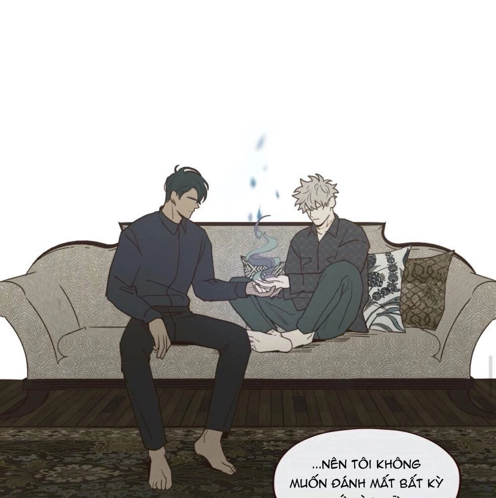 Vận Mệnh Không Mắc Sai Lầm Chapter 39 - 14