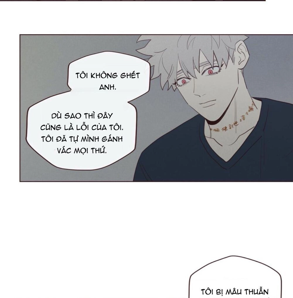 Vận Mệnh Không Mắc Sai Lầm Chapter 39 - 24