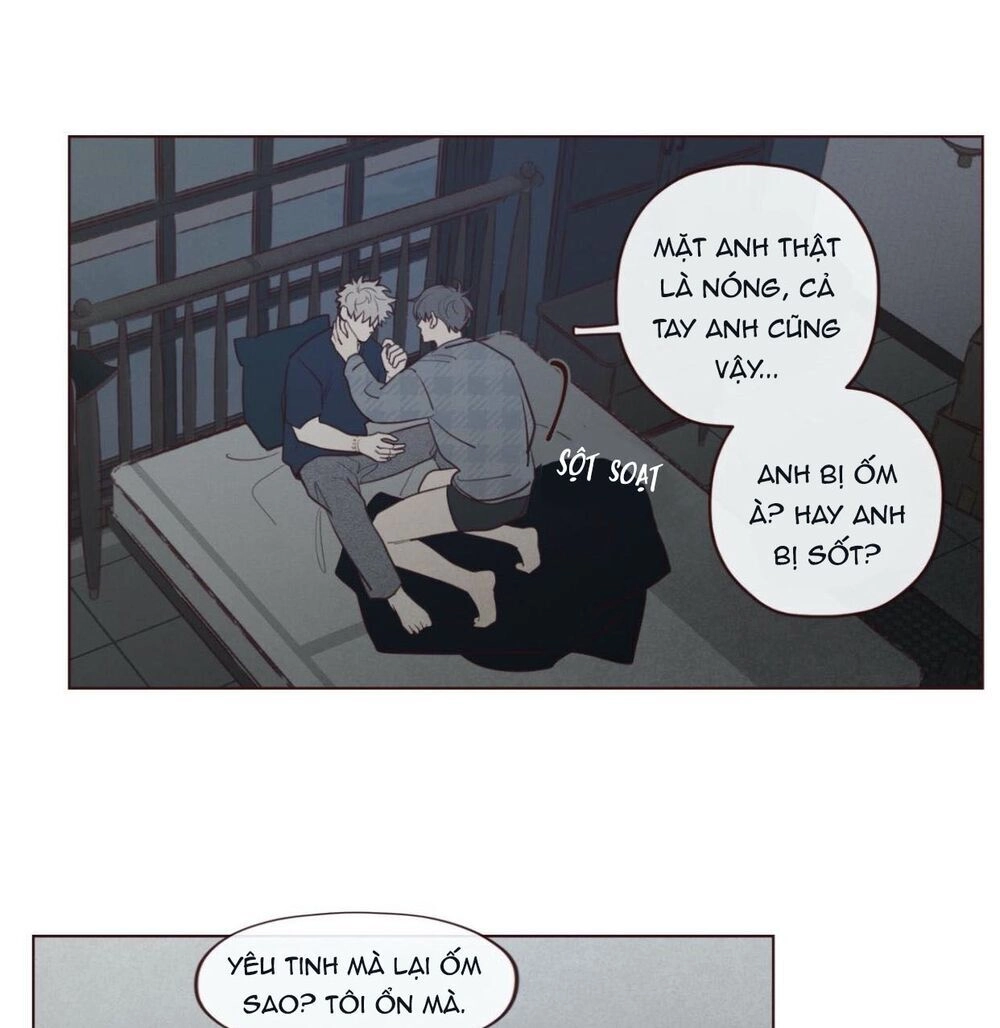 Vận Mệnh Không Mắc Sai Lầm Chapter 39 - 38