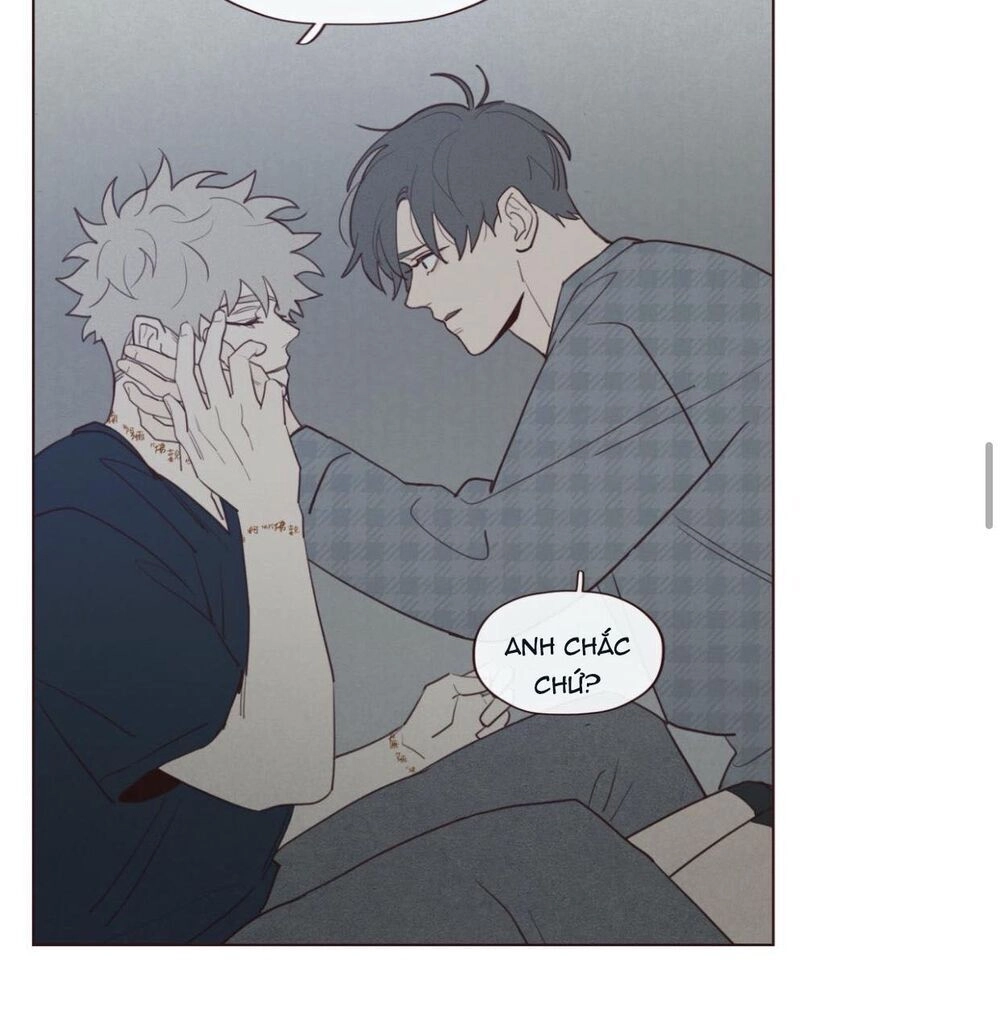 Vận Mệnh Không Mắc Sai Lầm Chapter 39 - 39