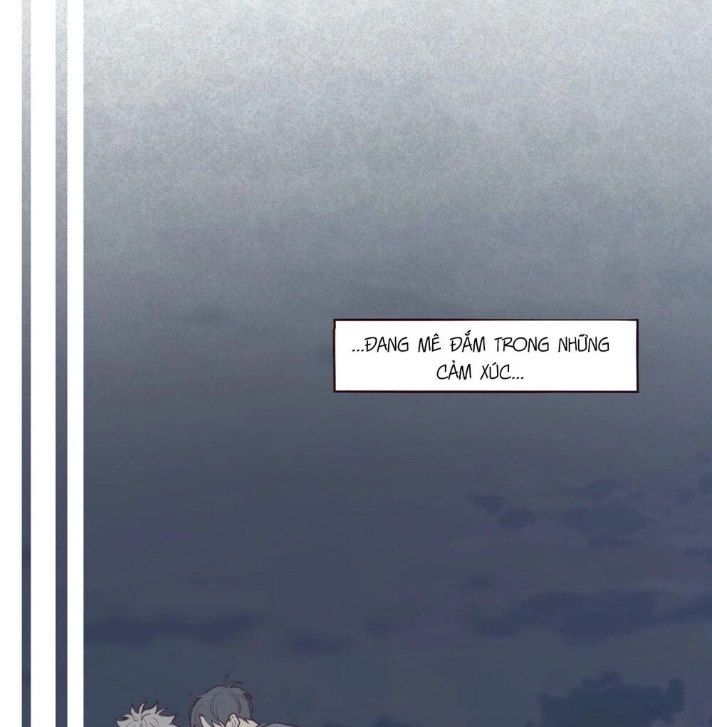 Vận Mệnh Không Mắc Sai Lầm Chapter 39 - 41