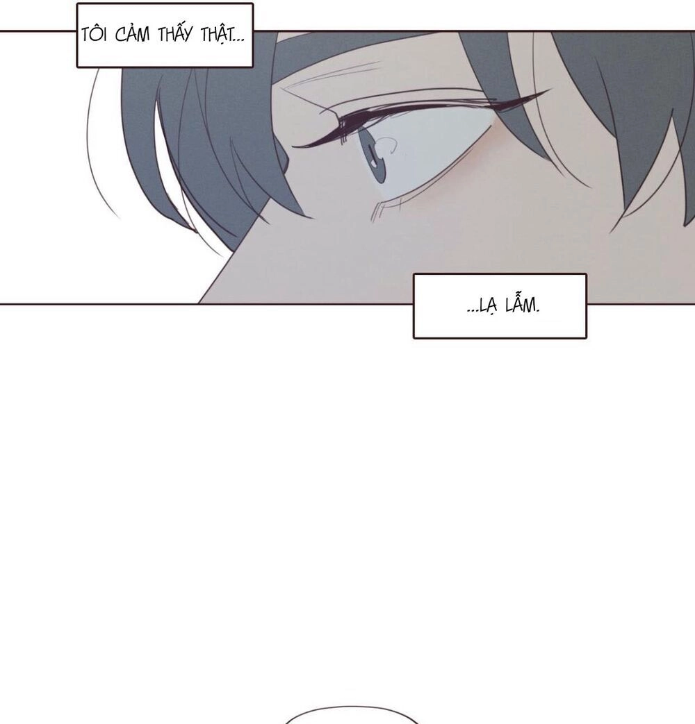 Vận Mệnh Không Mắc Sai Lầm Chapter 39 - 43