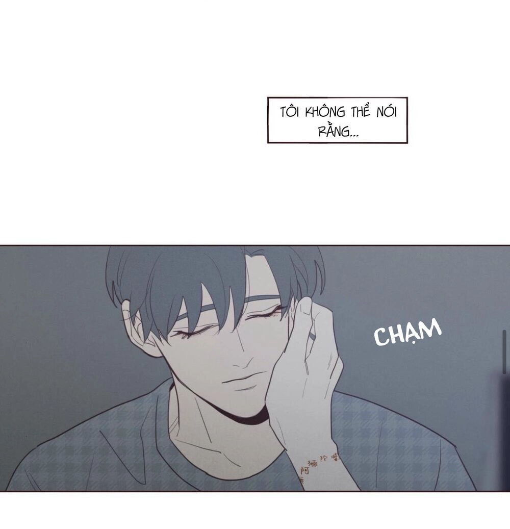 Vận Mệnh Không Mắc Sai Lầm Chapter 39 - 47