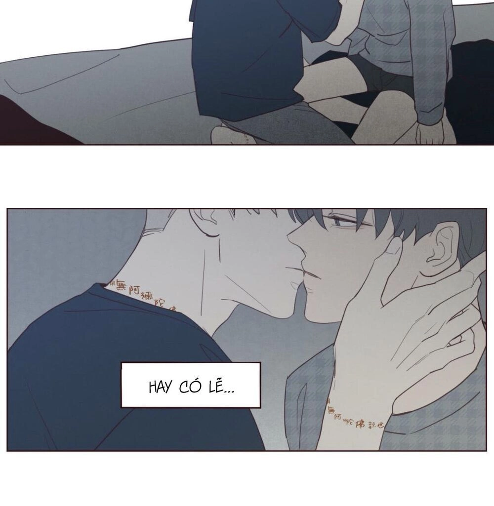 Vận Mệnh Không Mắc Sai Lầm Chapter 39 - 49