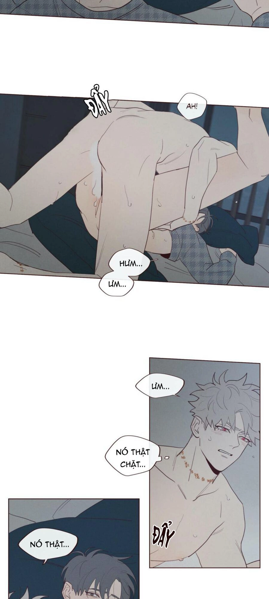 Vận Mệnh Không Mắc Sai Lầm Chapter 42 - 5