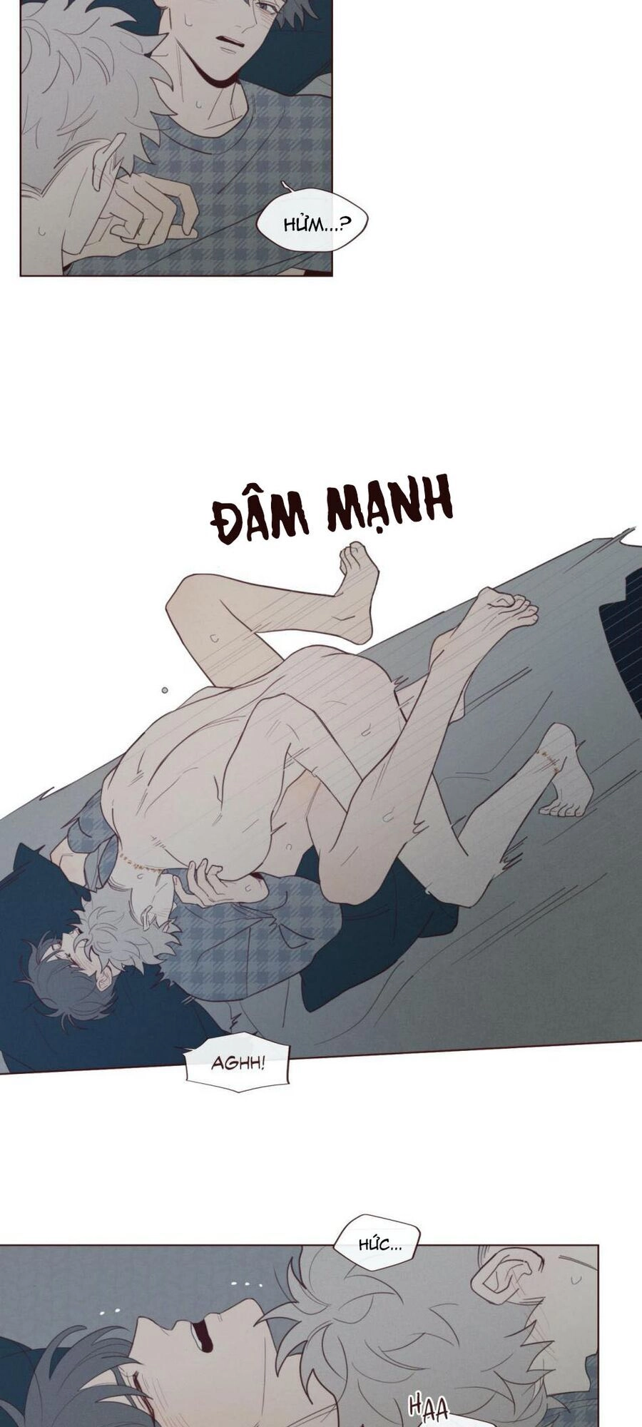 Vận Mệnh Không Mắc Sai Lầm Chapter 42 - 6