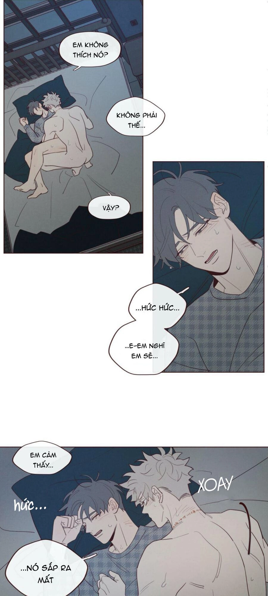 Vận Mệnh Không Mắc Sai Lầm Chapter 42 - 12