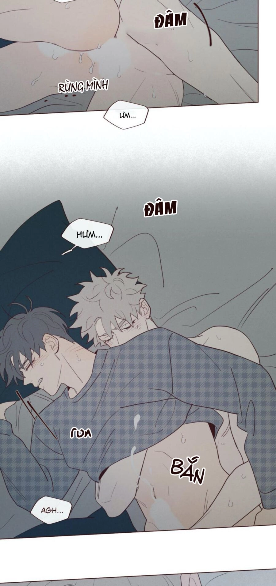 Vận Mệnh Không Mắc Sai Lầm Chapter 42 - 16