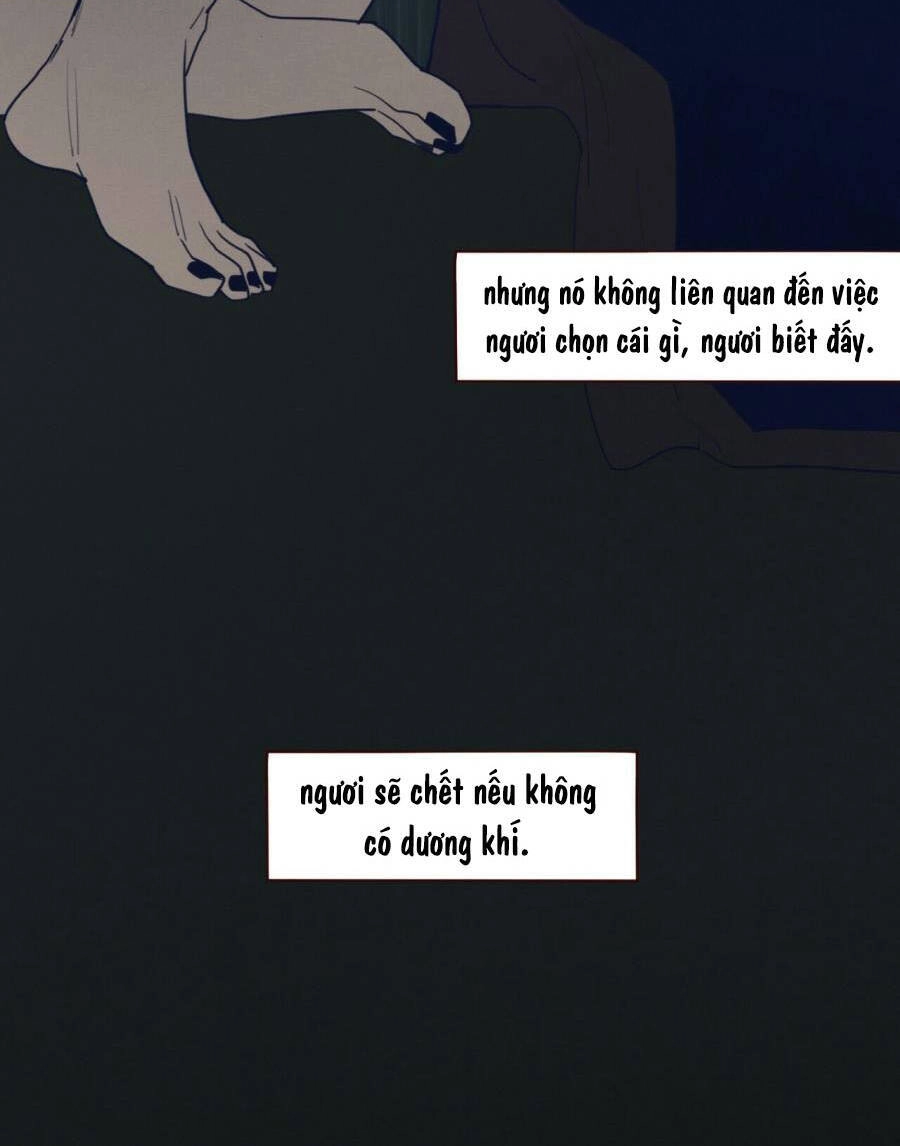 Vận Mệnh Không Mắc Sai Lầm Chapter 45 - 14