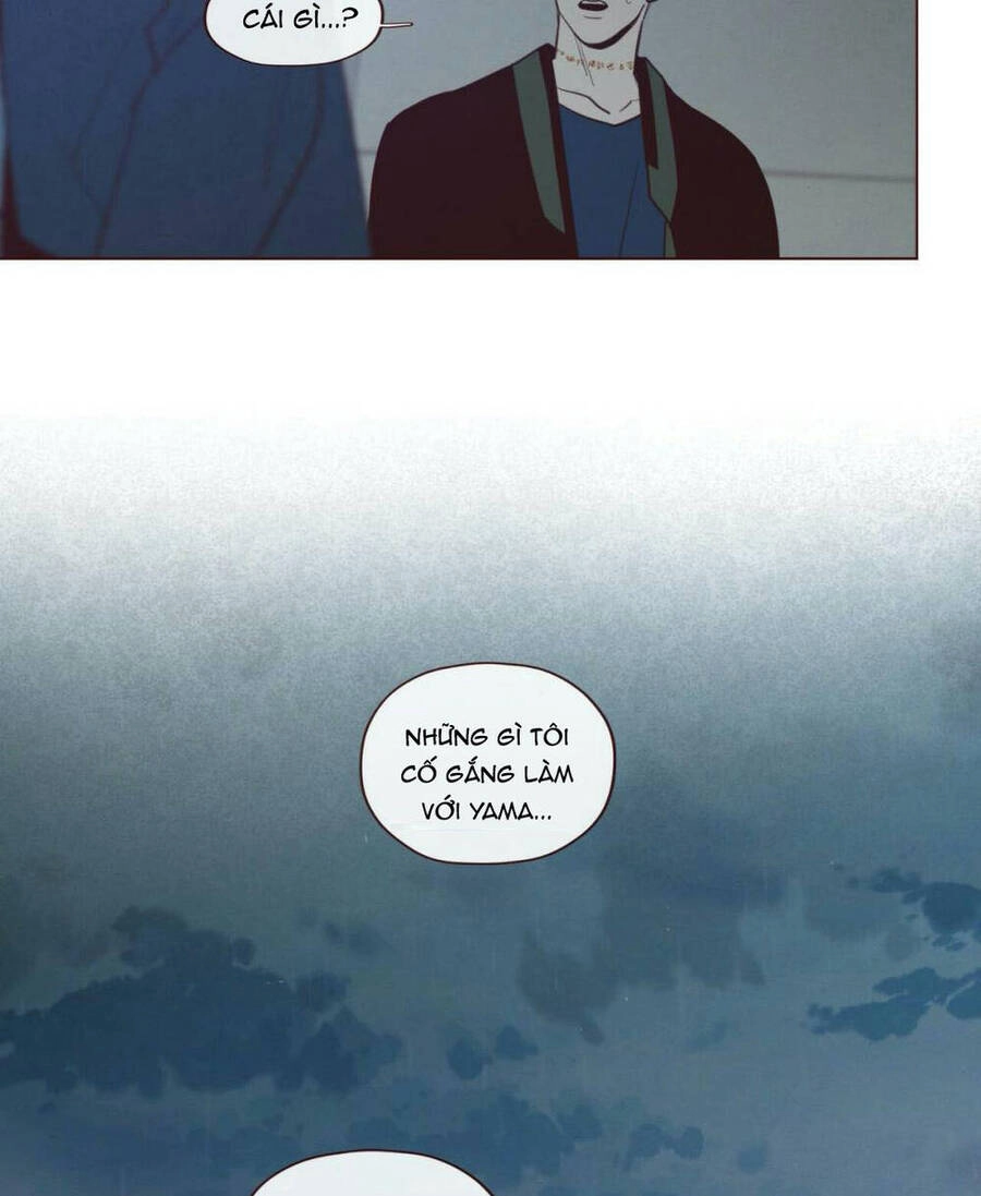 Vận Mệnh Không Mắc Sai Lầm Chapter 46 - 15