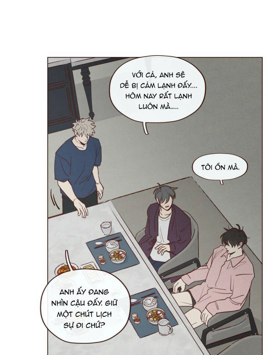 Vận Mệnh Không Mắc Sai Lầm Chapter 47 - 13