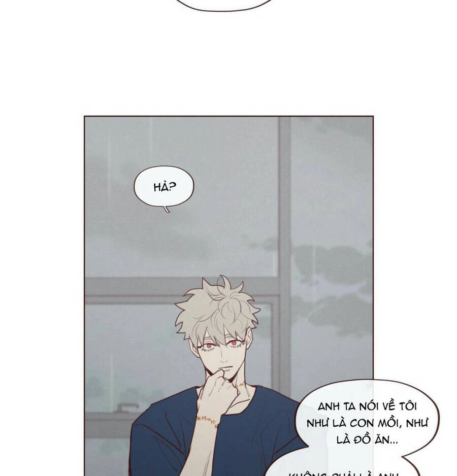 Vận Mệnh Không Mắc Sai Lầm Chapter 47 - 20