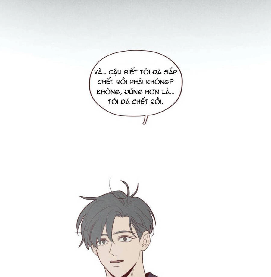 Vận Mệnh Không Mắc Sai Lầm Chapter 47 - 31